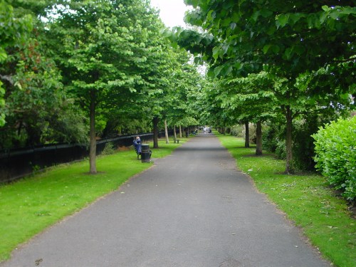 Looking south along the linear park
