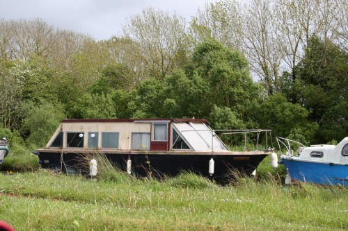 Bellflower at Shannon Harbour_resize Bellflower at Shannon Harbour