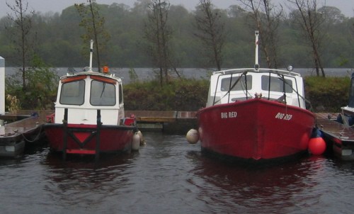 Big_Red_2009 (copyright Tina)_resize Big Red and little sister 2009 (copyright Tina of Wasserrausch)