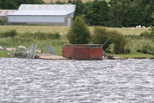 Cattle ferry Lough Ree 4_resize Cattle ferry on Lough Ree (July 2009)