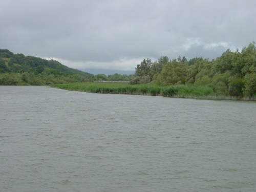 Channel to SW of Fiddown Island_resize Looking back up the non-navigable channel towards Fiddown Bridge