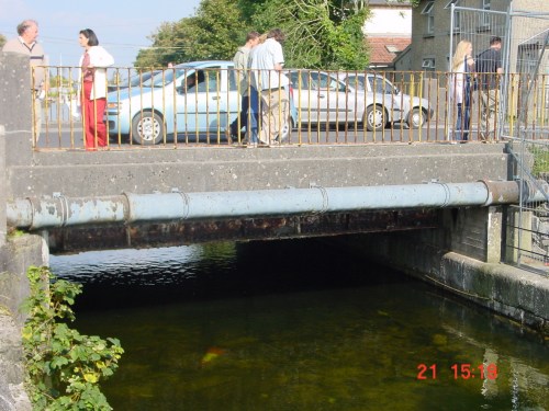 eglinton first bridge 02_resize The state of the water