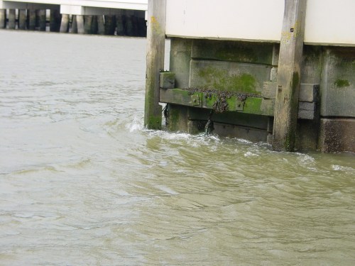 Flow through Rice Bridge 01_resize The current