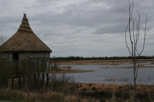Lough Boora parklands 1
