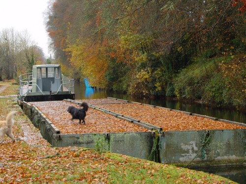 killaloe-between-the-waters-autumn-2008-7_resize Pontoons in autumn