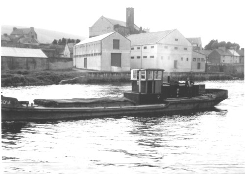 Knocknagow in Carrick Knocknagow in Carrick-on-Suir (photo courtesy Brendan Cleary)