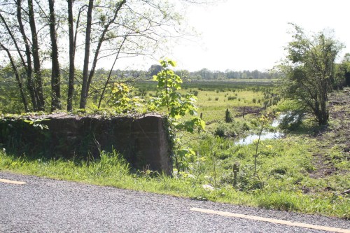 Looking over the bog from the road 2_resize Looking over the drained bog from the road