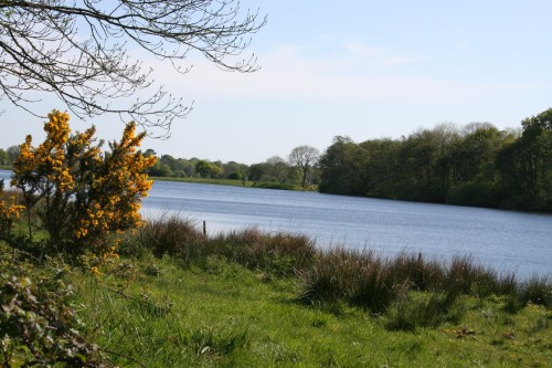 Looking towards the Plassey-Errina Canal 3_resize Looking downstream towards the Plassey–Errina Canal