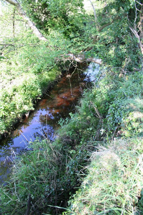 McNab canal 01 resize The canal at the quay