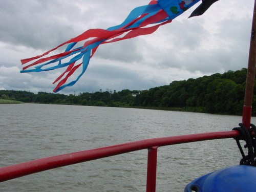 Mount Congreve 02_resize Mount Congreve, renowned for its gardens, just about visible