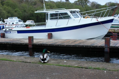 NIEA_Castle Archdale_2009 (copyright Tina)_resize Northern Ireland Environment Agency boat at Castle Archdale 2009 (copyright Tina of Wasserrausch)