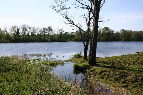 The junction with the river 3_resize The junction with the river