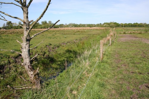 The main stem looking east towards the junction 4_resize The main stem of the canal looking easy, away from the Shannon