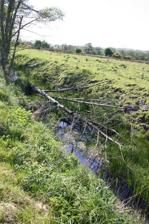 The main stem looking west from the junction 1_resize The main stem looking west