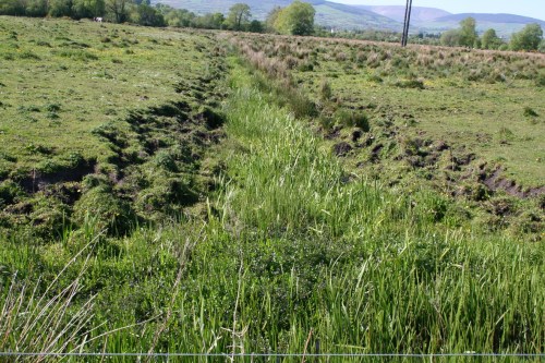 The northern arm_resize The northern arm