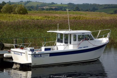 Tina IMG_3029 Tina IMG_3029