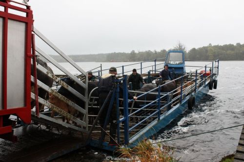 Tina IMG_3033 Tina IMG_3033