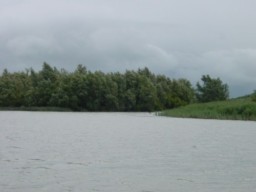 Upstream end of Fiddown Island non-navigable to R_resize The upstream end of Fiddown Island. The R/H channel is not navigable