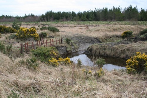 Slightly further up, a junction