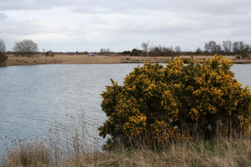 The western lagoon, not connected to the canal-like object