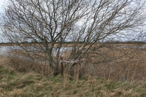 Eeyore's gloomy place?