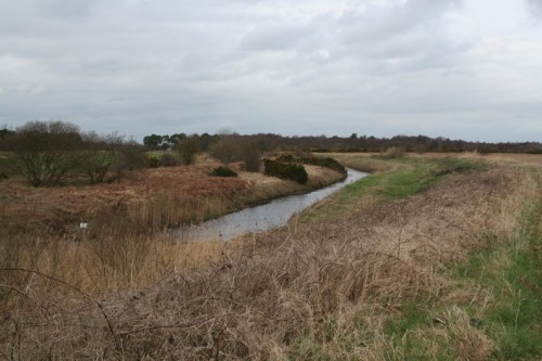 This seems to be flowing north and east towards the canal