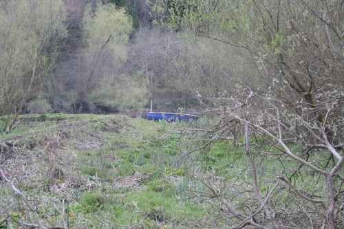 Barrow at Pollmounty 01_resize 1545 Boat on the banks of the Barrow at Pollmounty