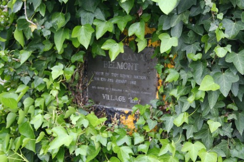 Belmont's Tidy Towns award