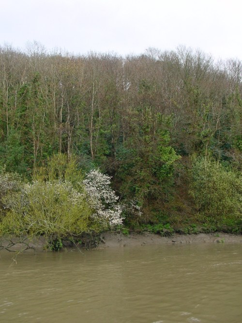 eastern bank above new ross 01_resize The east bank 3