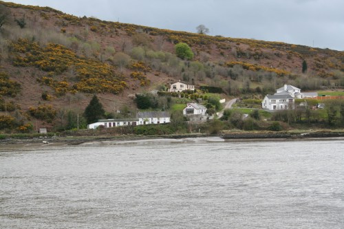 Far side of old ferry route 02_resize 1404 Ballinlaw, on the west bank in Co Kilkenny, to which the ferry plied