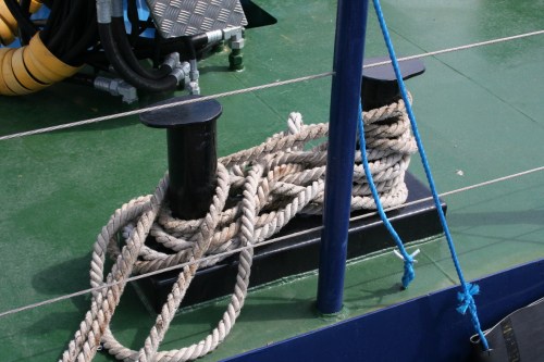 Inis Cealtra at Portumna 41_resize Bitts