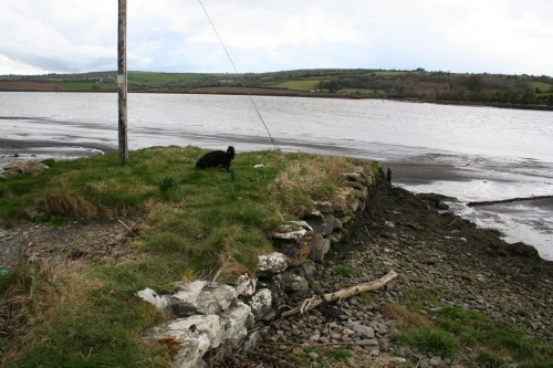 Old jetty 01_resize 1420 The quay at (I think) Dollar Point