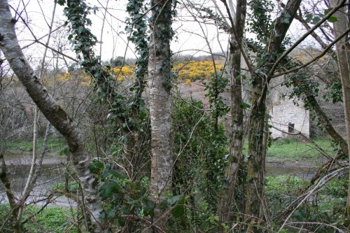 Old mill at Pollmounty 02_resize 1543 Old building on the banks at Pollmounty