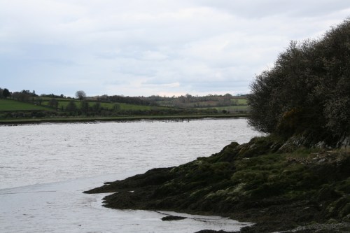 Possible sprat weir above old jetty 02_resize 1421 Salmon weir on the far side (shown on the 1840 OS map)