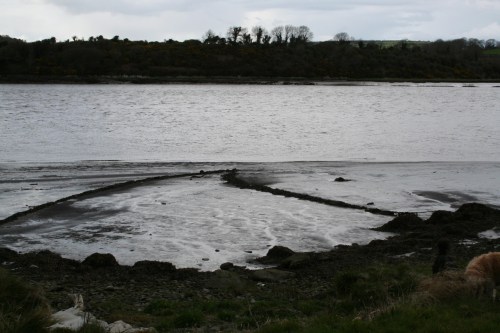 Ropes in mud at old jetty 01_resize 1420 Ropes in the mud