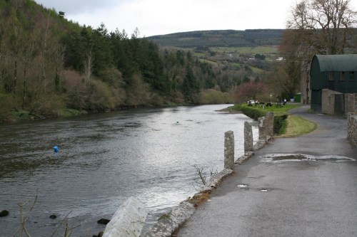 St Mullins 18_resize Looking upstream. It's a long way to the lock