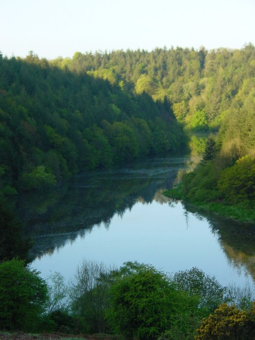 The Barrow from B&B nr St Mullins 01_resize Looking downriver from the B&B