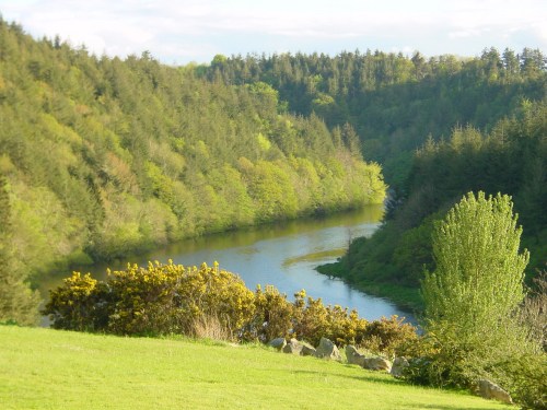 The Barrow from B&B nr St Mullins 06_resize Looking downstream from the B&B (evening)