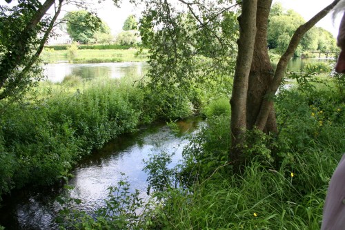 04 The downstream outflow from the bleach mill race_resize The long-distance outflow nears the Shannon