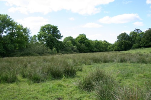 15 The millrace is amongst the trees while we cut the corner_resize The outlet is in the trees on the far side of the field