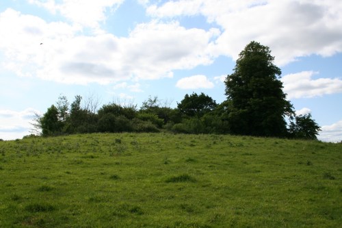 17 The nut grove_resize The long-distance outlet runs behind the hill with the nut grove on it