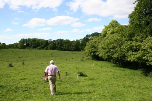 18 Pippa goes ever on_resize The riverbank route towards the mill