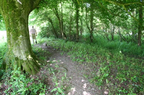 40 Walking towards the mill_resize The path towards the mill