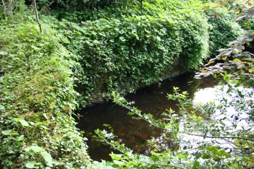 44 The dividing of the waters_resize One outlet is under the greenery on the left, the other on the opposite bank