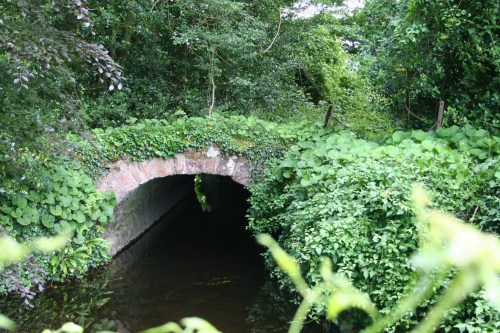 50 The tunnel_resize "The tunnel", the shorter outlet