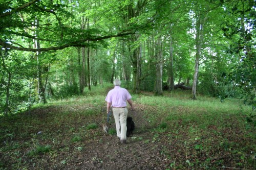 62 Walking through the mill_resize Roughly where the bleach mill stood
