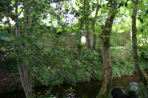 74 Walled garden perh of Rose Hill House_resize The walled garden on the other bank may have belonged to Rose Hill House