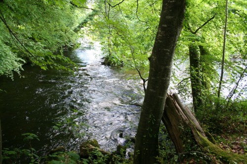 76 Some water diverted back out_resize The inflow at the upstream end