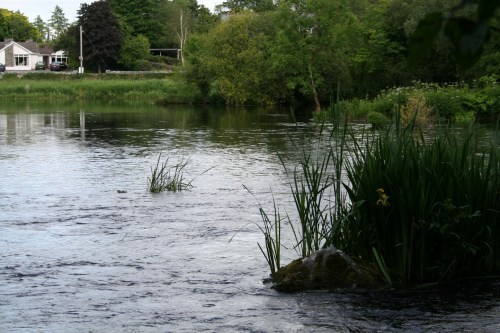 79 The far side_resize The far side of the river