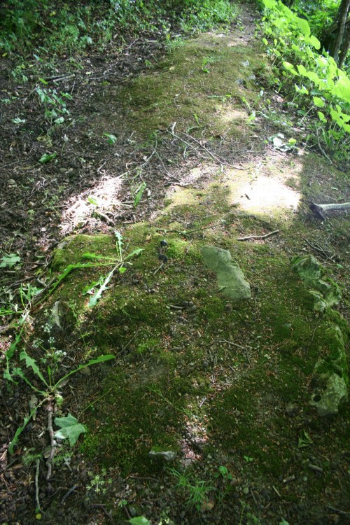 80 Where MM's derdger discarded stone_resize Stone removed from the canal during fisheries improvement work